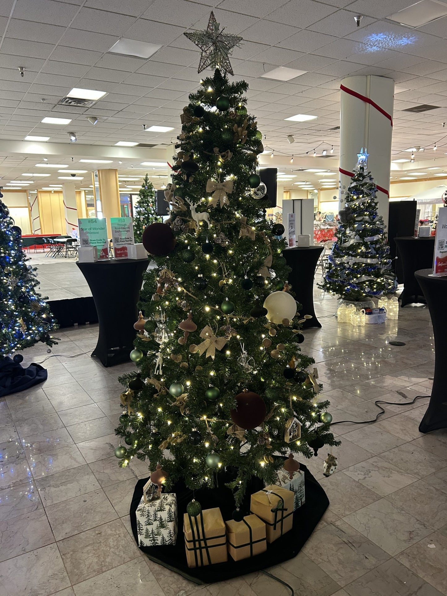 #44: Velvet Wonderland