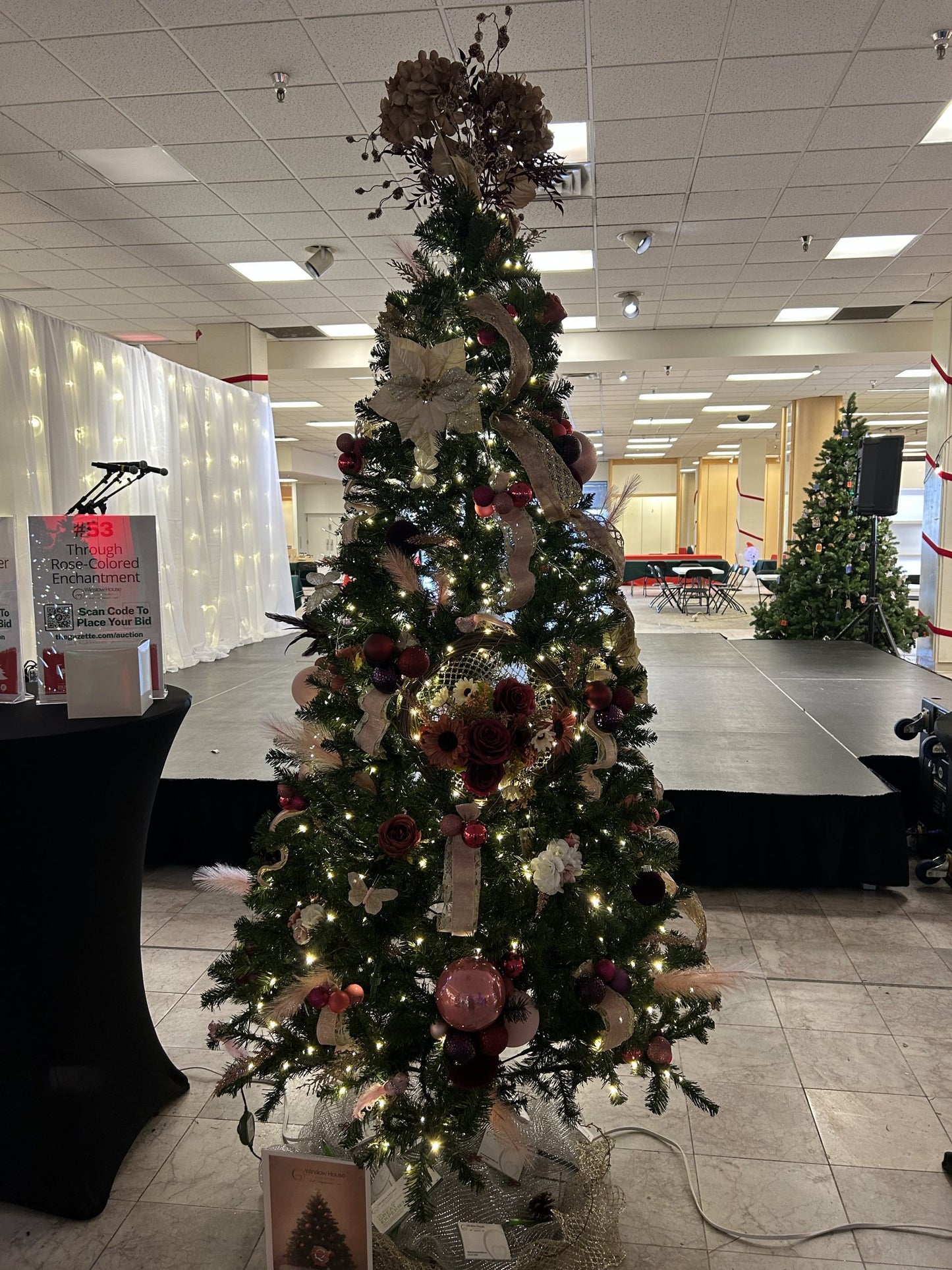 #53: Through Rose-Colored Enchantment