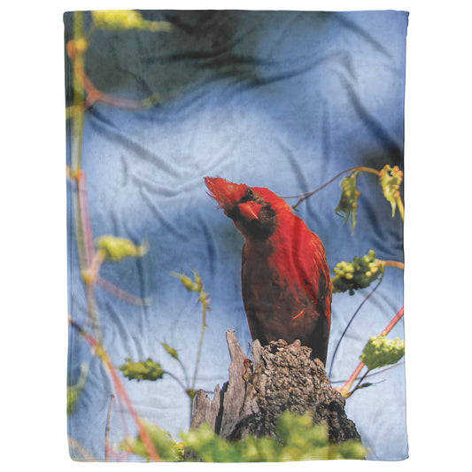 Cardinal Moment Fleece Blanket