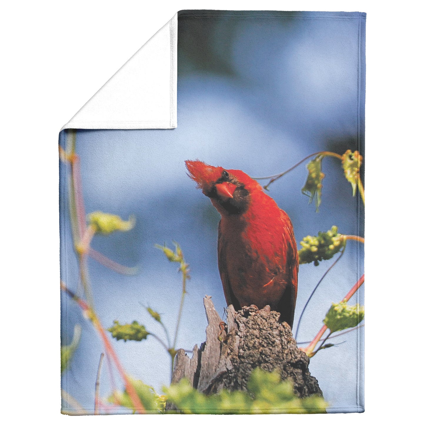 Cardinal Moment Fleece Blanket