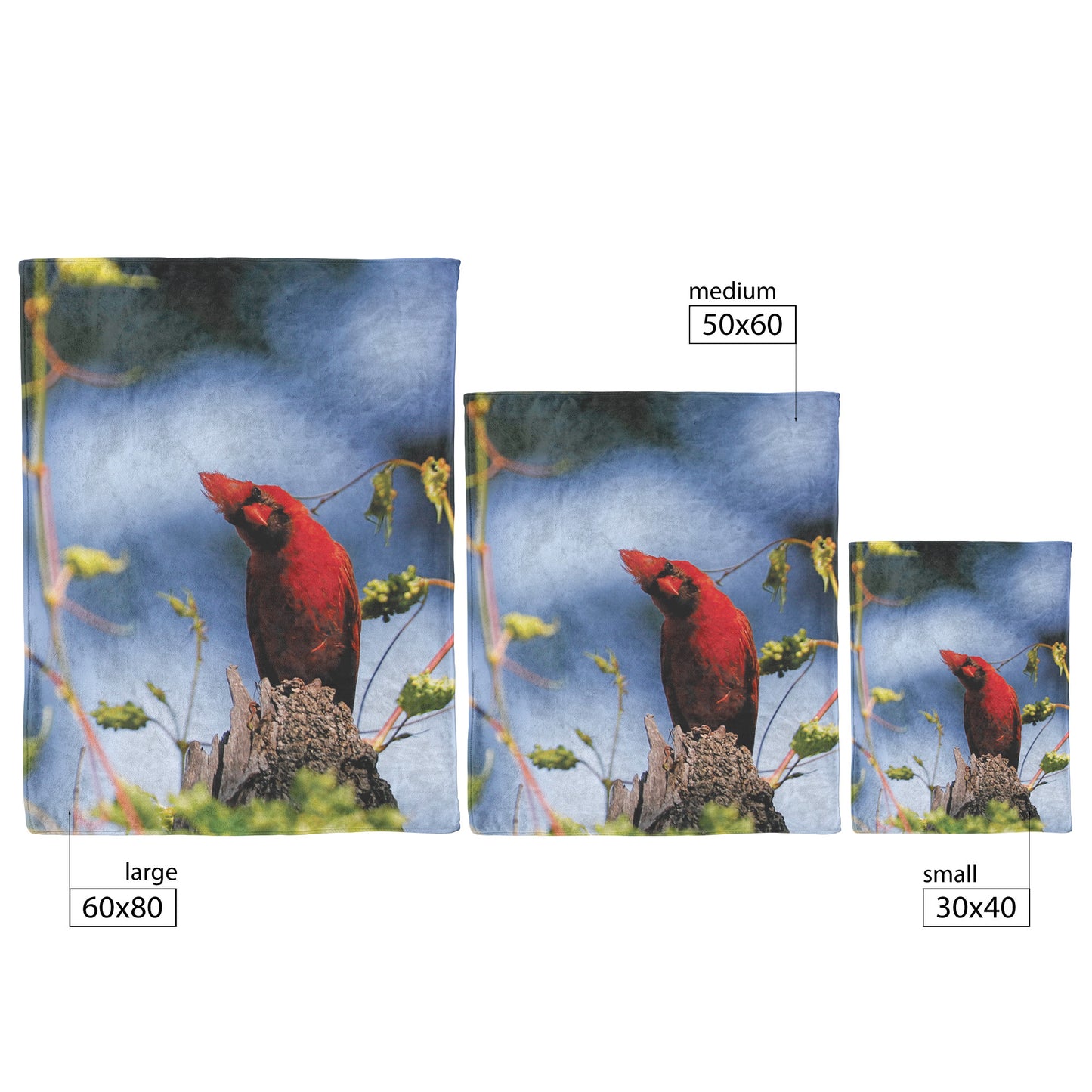 Cardinal Moment Fleece Blanket