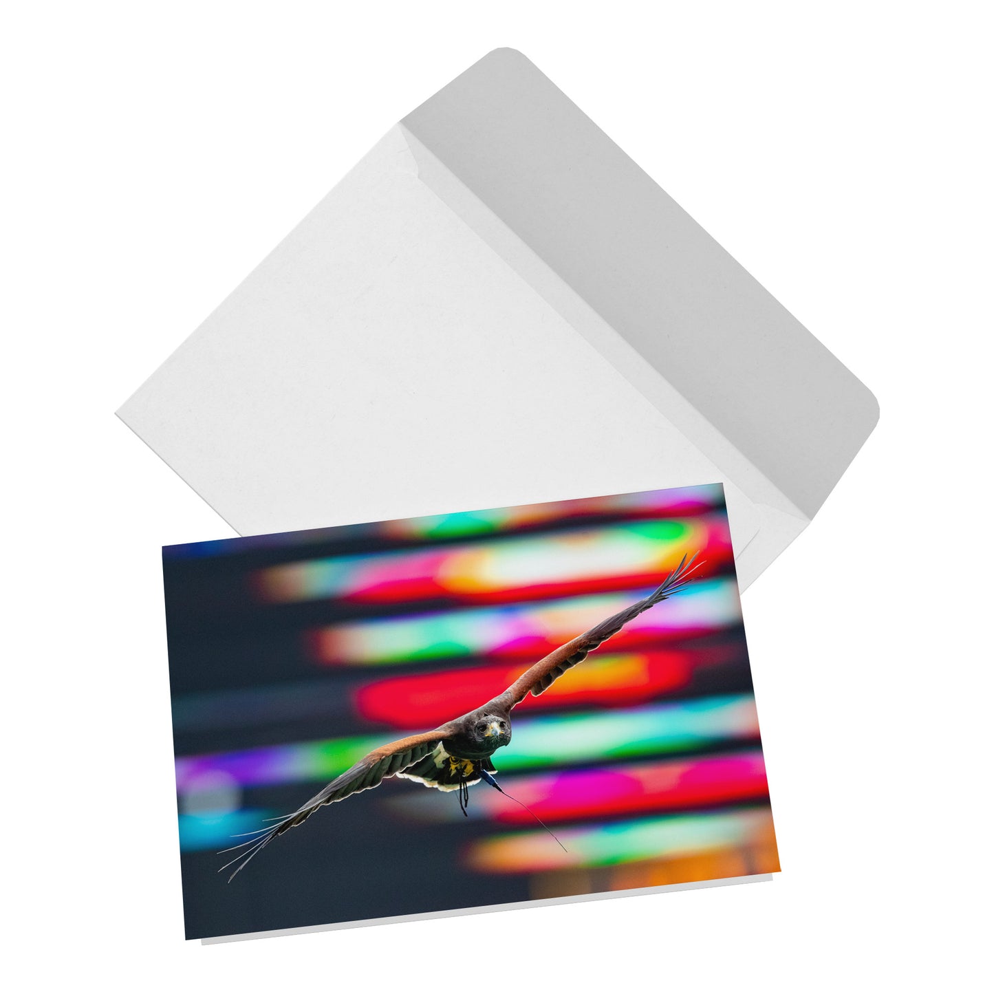 Folded Card H - Falcon