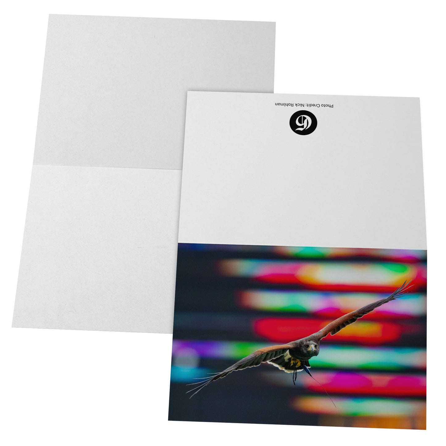 Folded Card H - Falcon