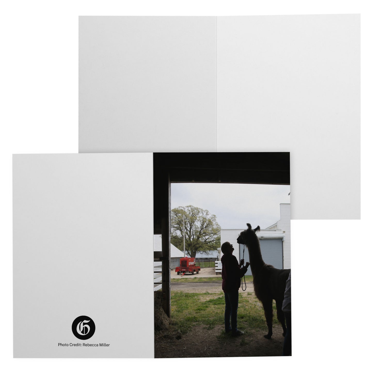 Folded Card V - Llama Love
