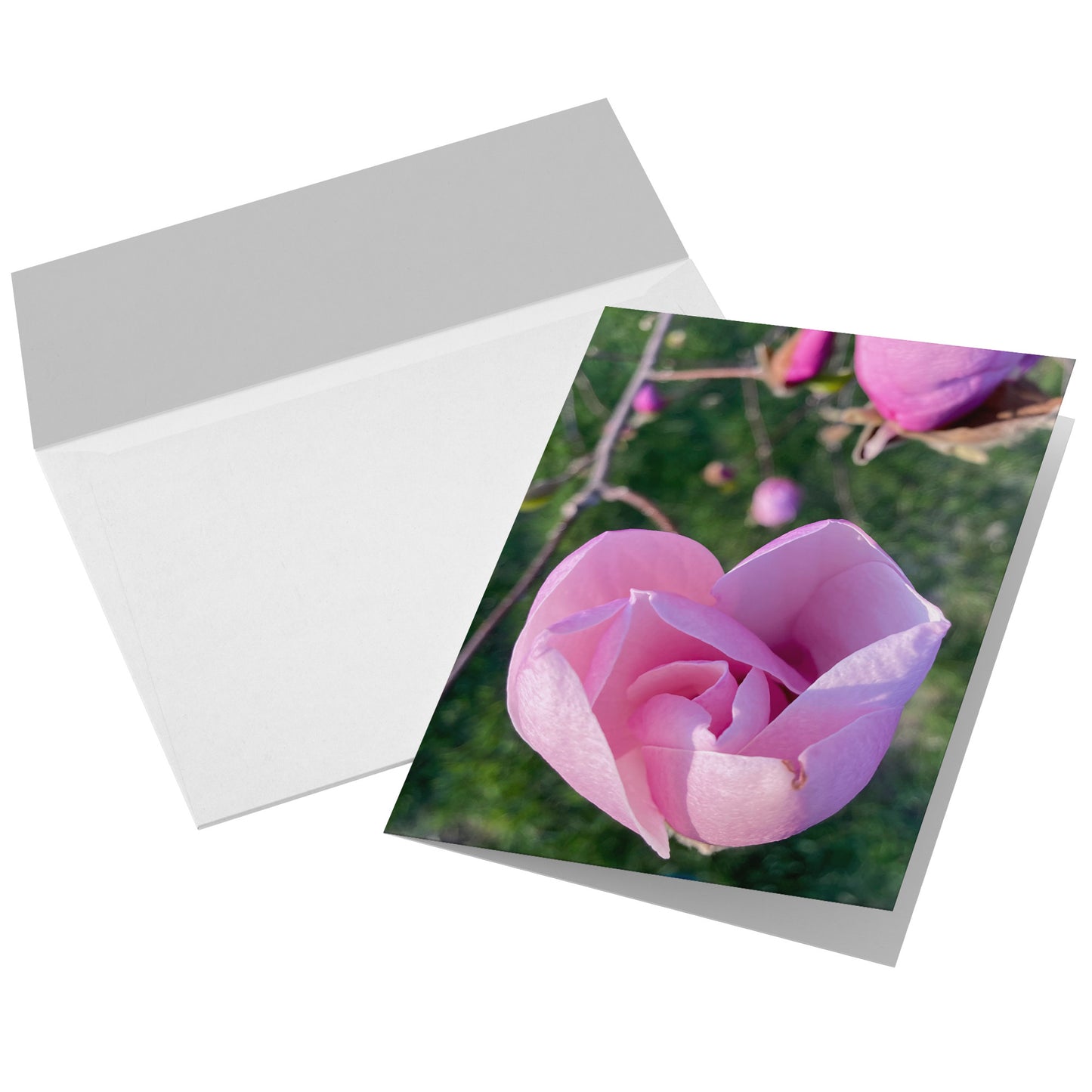Folded Card V - Promise of Spring