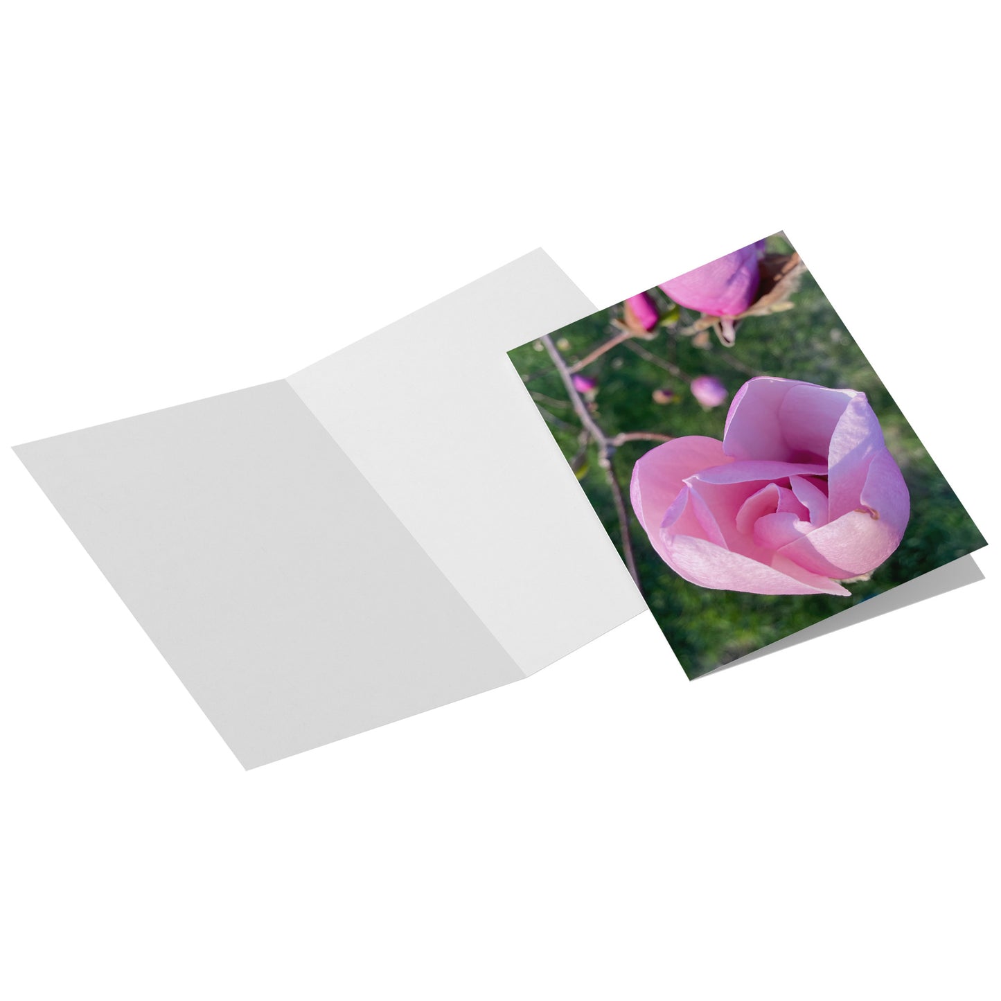 Folded Card V - Promise of Spring