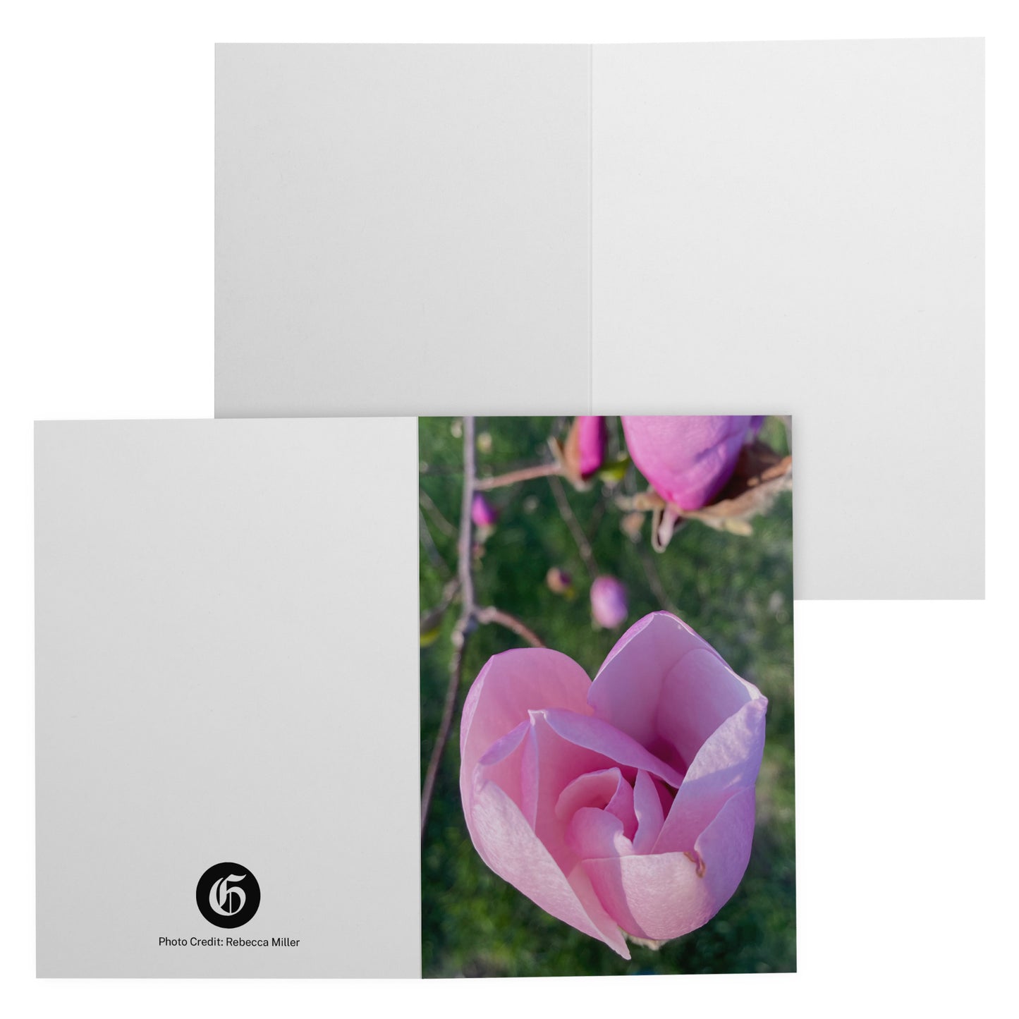 Folded Card V - Promise of Spring