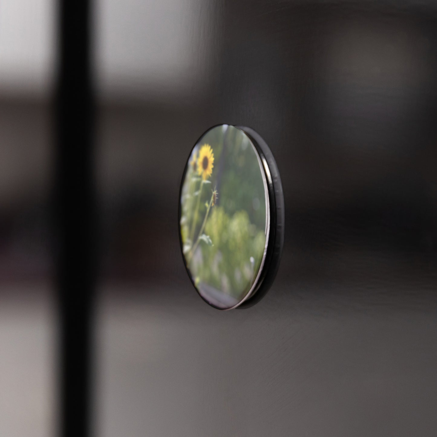 Round Button Magnet - A New Perspective