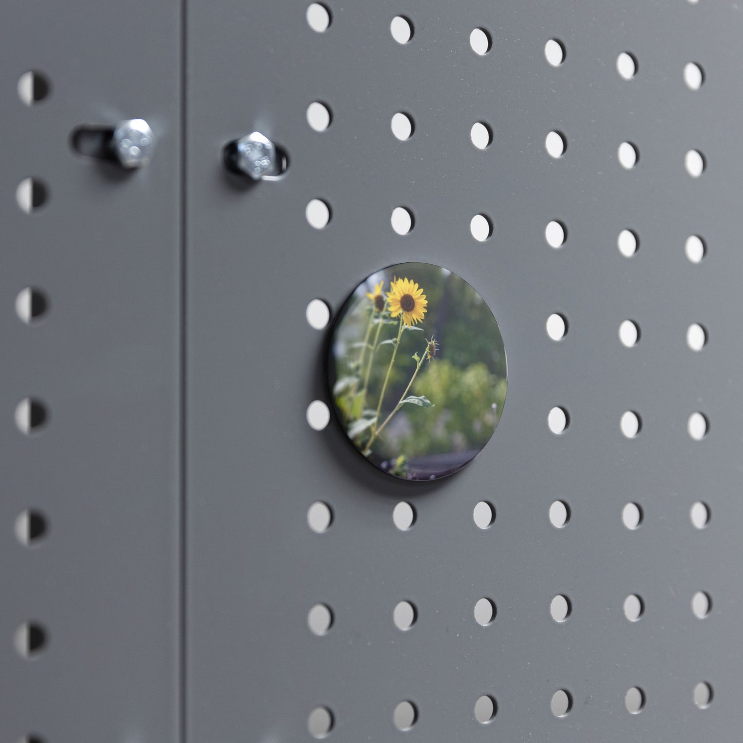 Round Button Magnet - A New Perspective