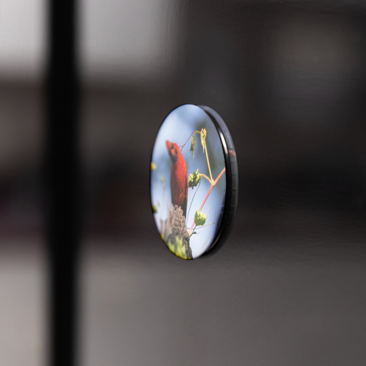 Round Button Magnet - Cardinal