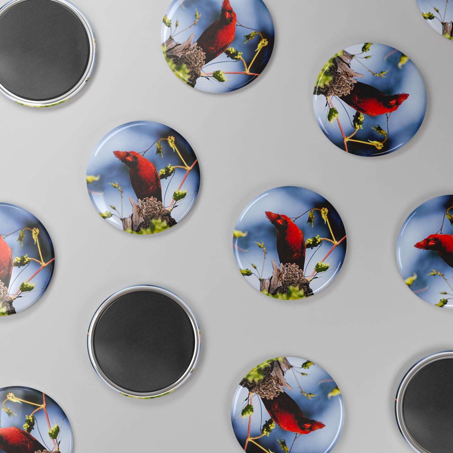 Round Button Magnet - Cardinal