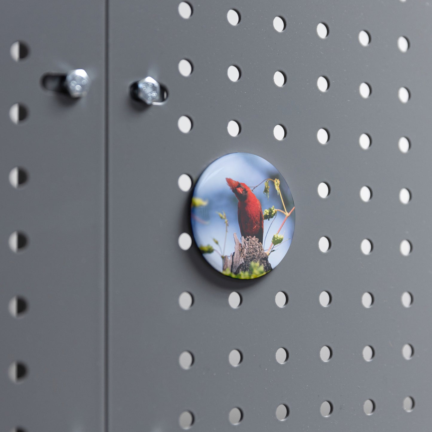Round Button Magnet - Cardinal