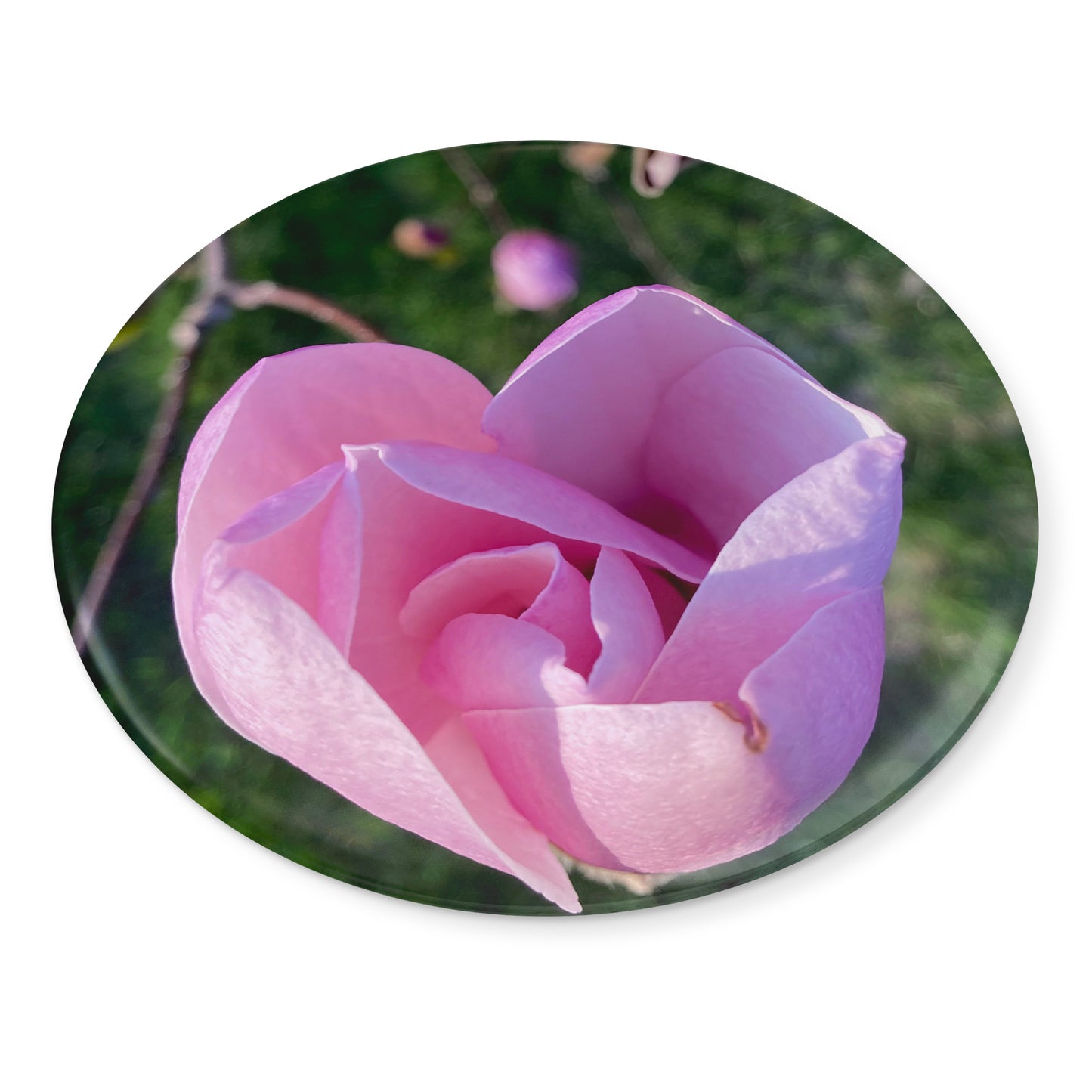 Round Button Magnet - Promise of Spring