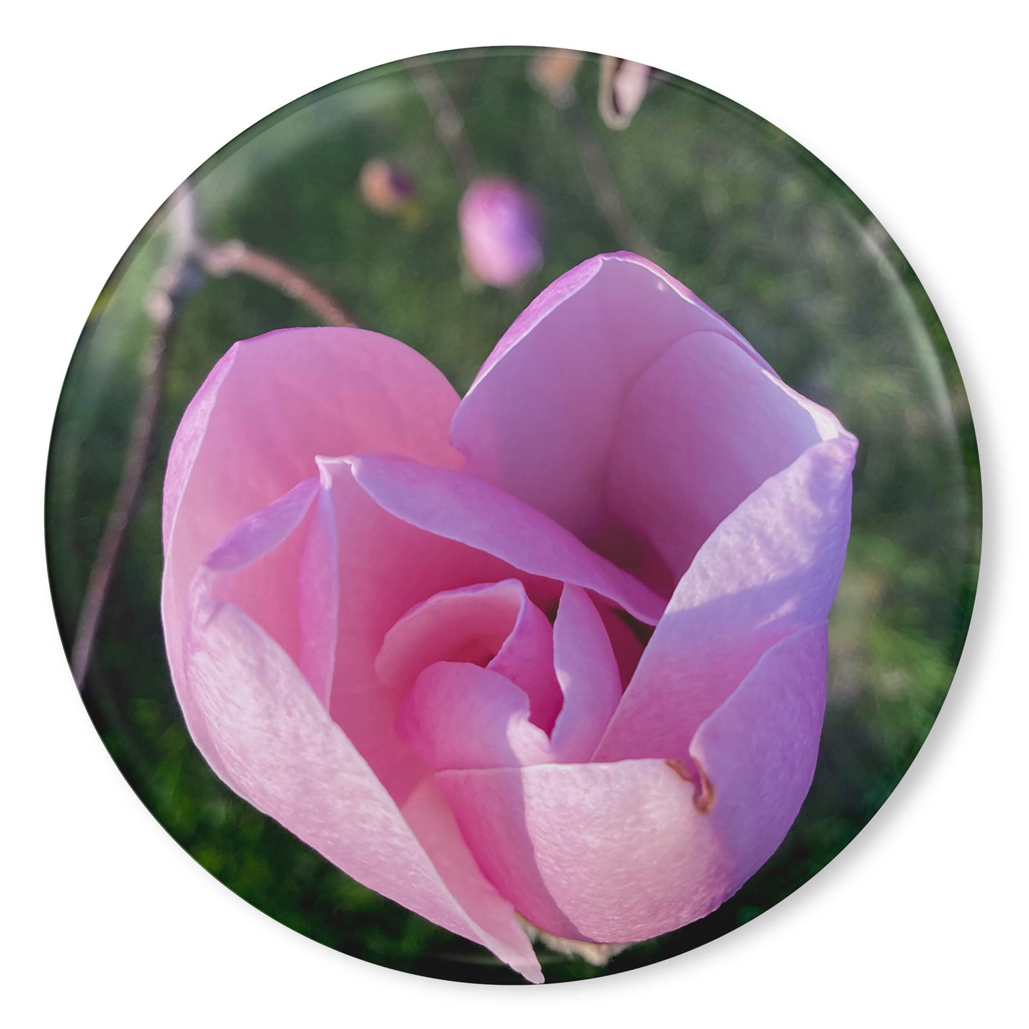 Round Button Magnet - Promise of Spring