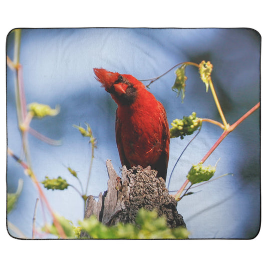 Stadium Blanket - Cardinal