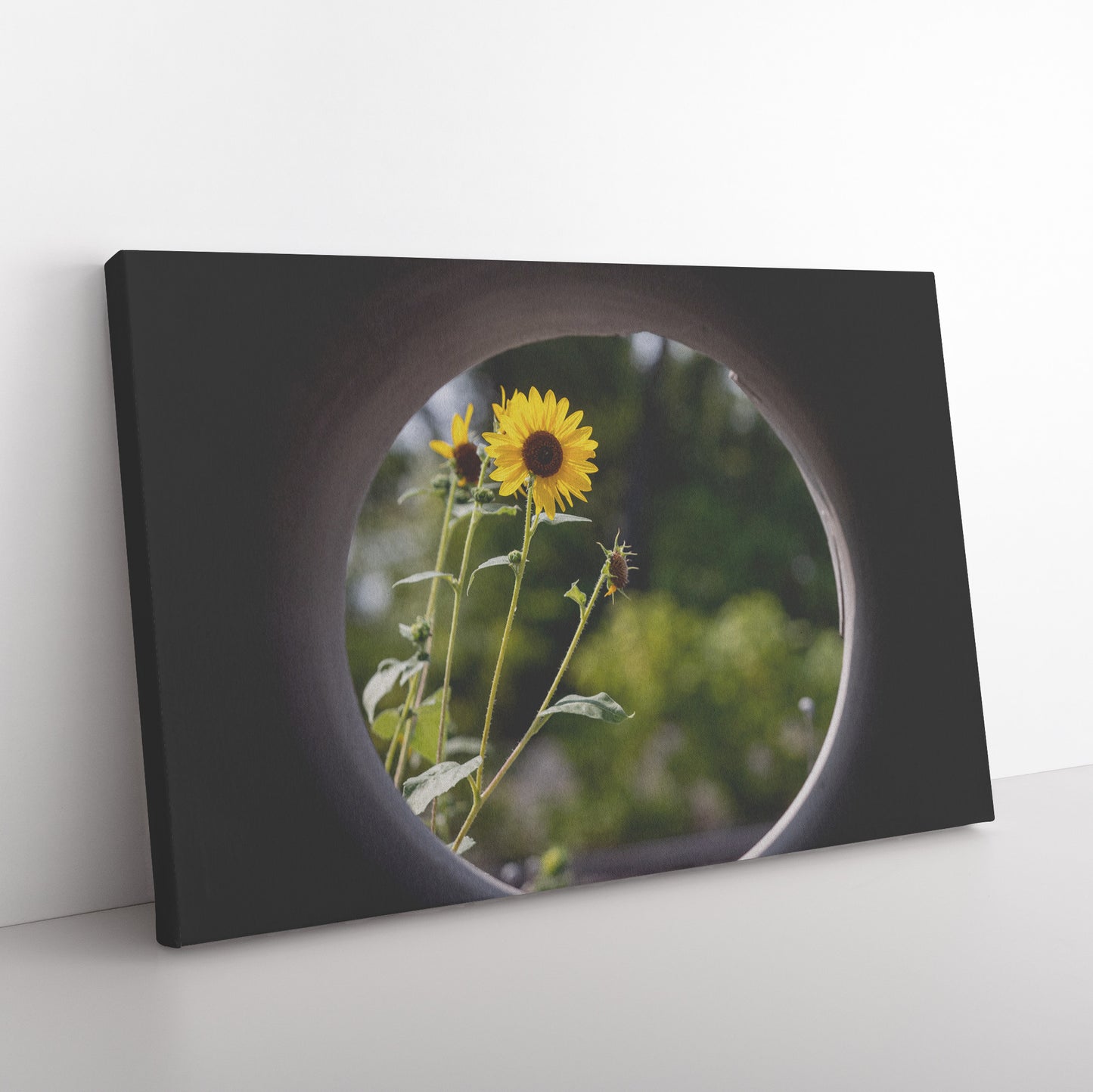 Wrapped Canvas Print - New Perspective
