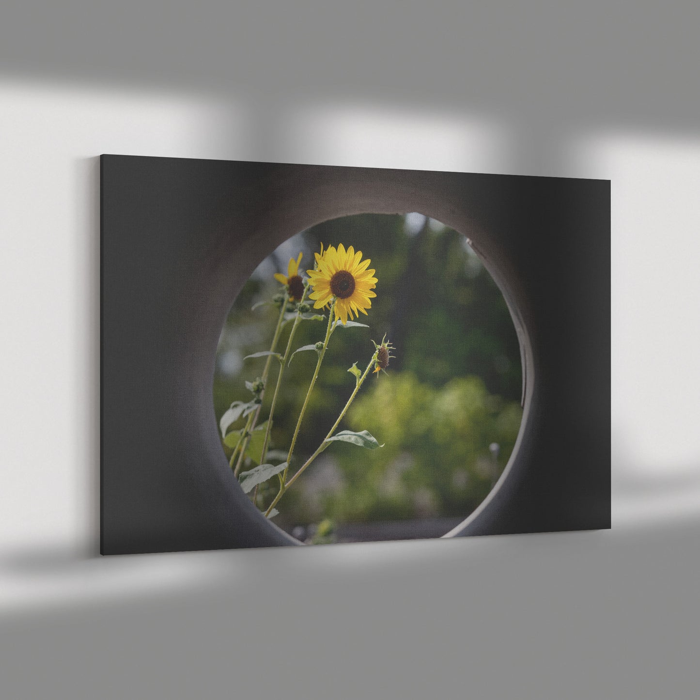 Wrapped Canvas Print - New Perspective