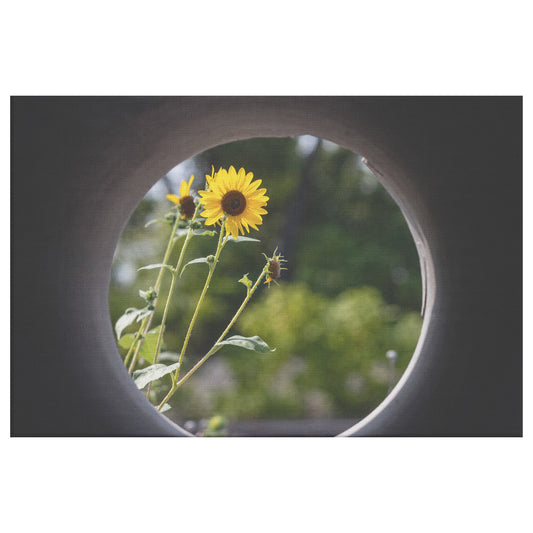 Wrapped Canvas Print - New Perspective