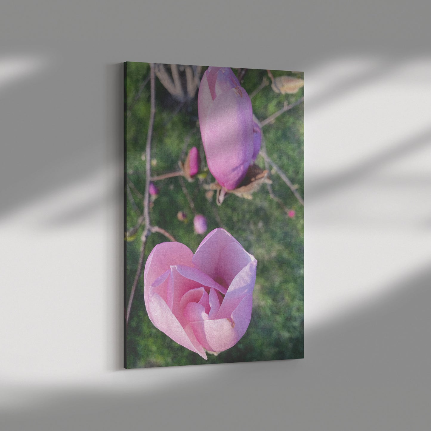 Wrapped Canvas Print - Rosebuds