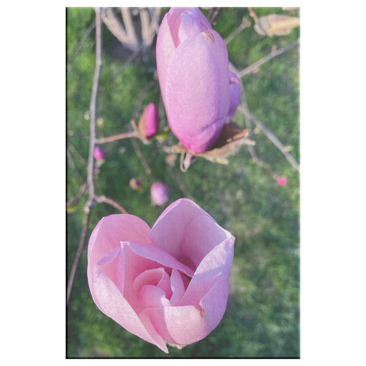Wrapped Canvas Print - Rosebuds