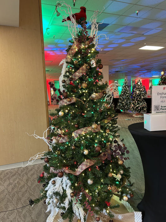 #1: Enchanted Forest