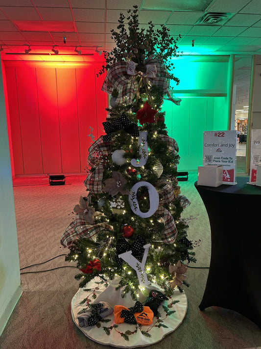 #22: Comfort and Joy