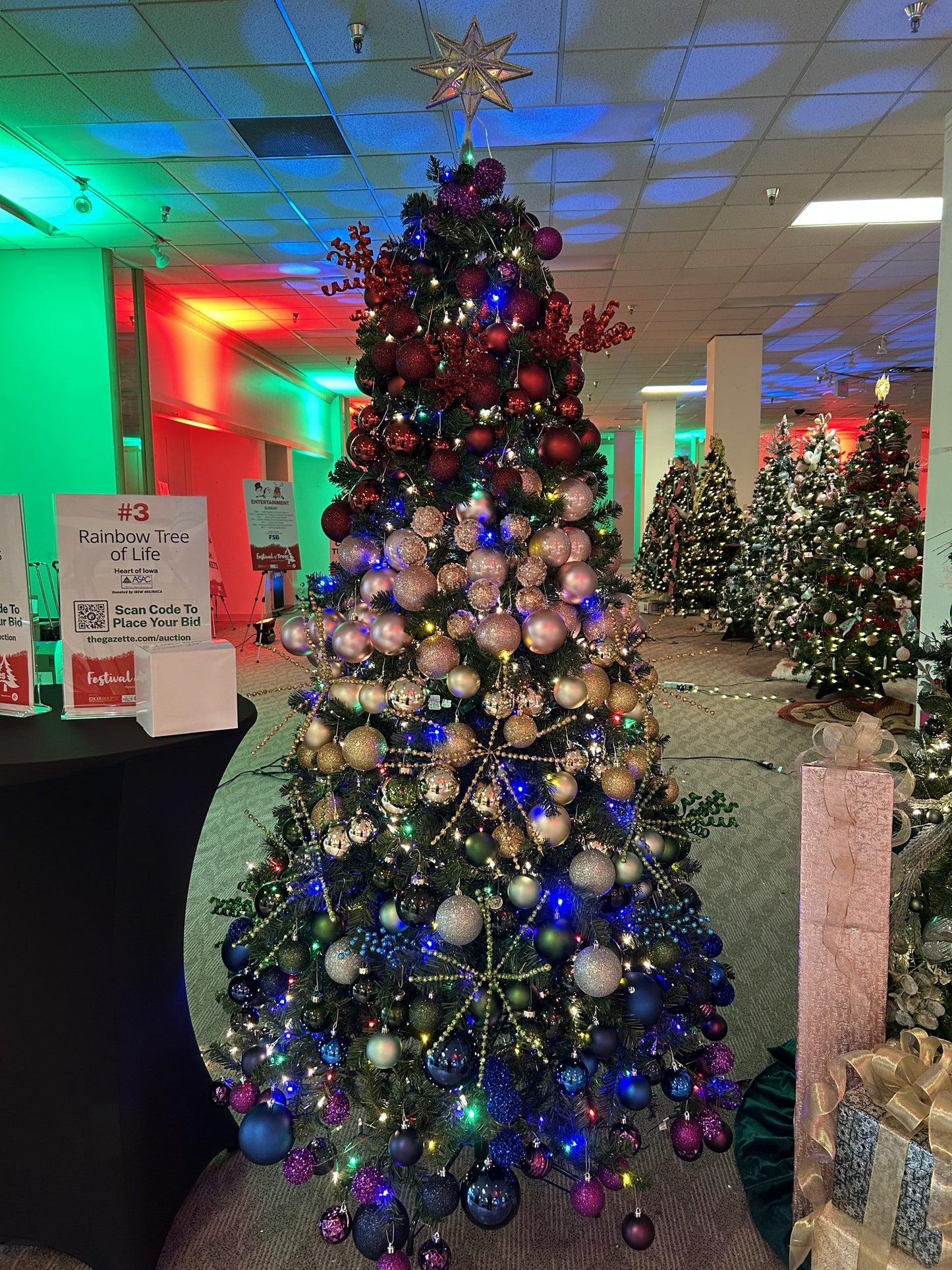 #3: Rainbow Tree of Life