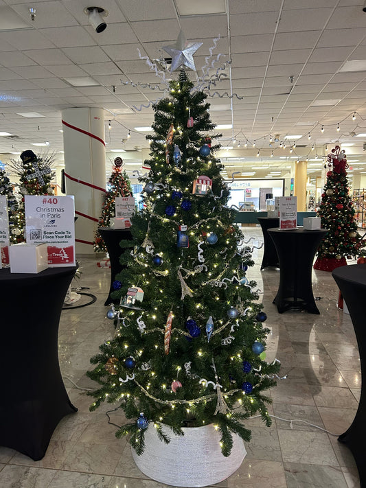 #40: Christmas in Paris