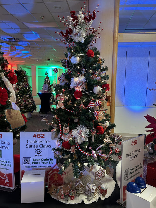 #62: Cookies for Santa Claws