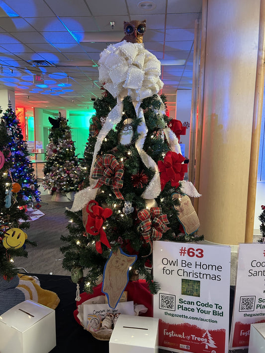 #63: Owl Be Home for Christmas