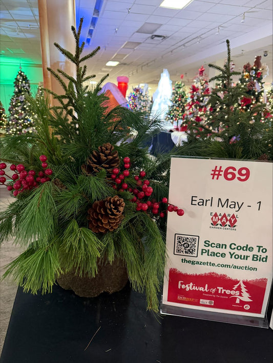 #69 Earl May Planter