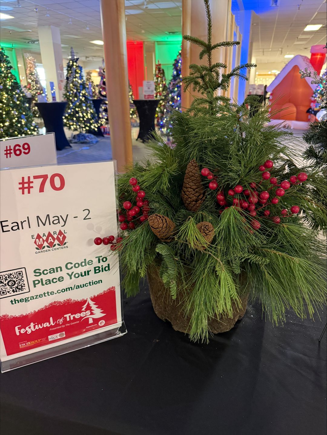 #70 Earl May Planter