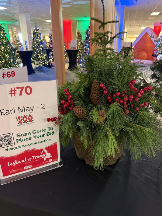 #70 Earl May Planter