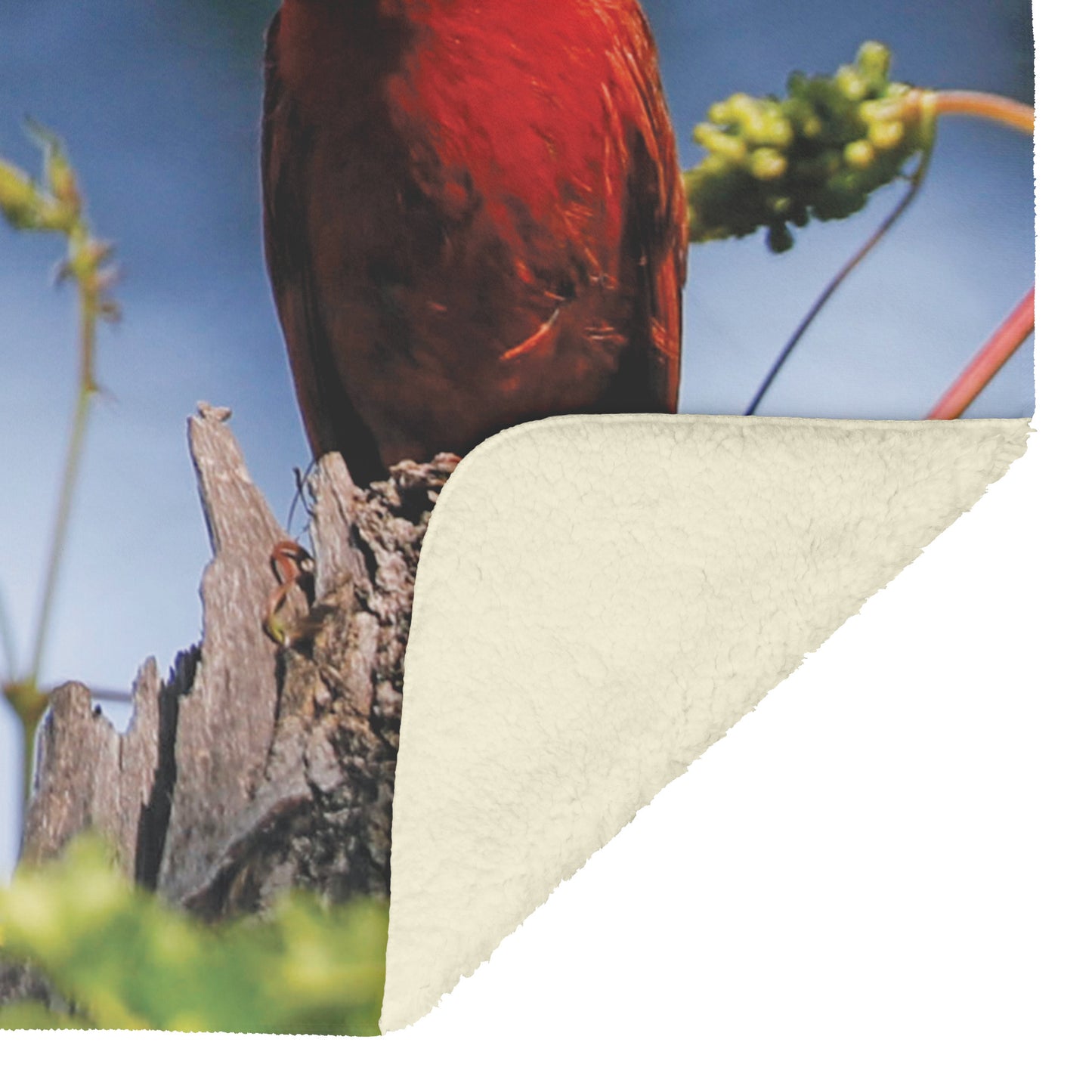 Cardinal Moment Fleece Blanket