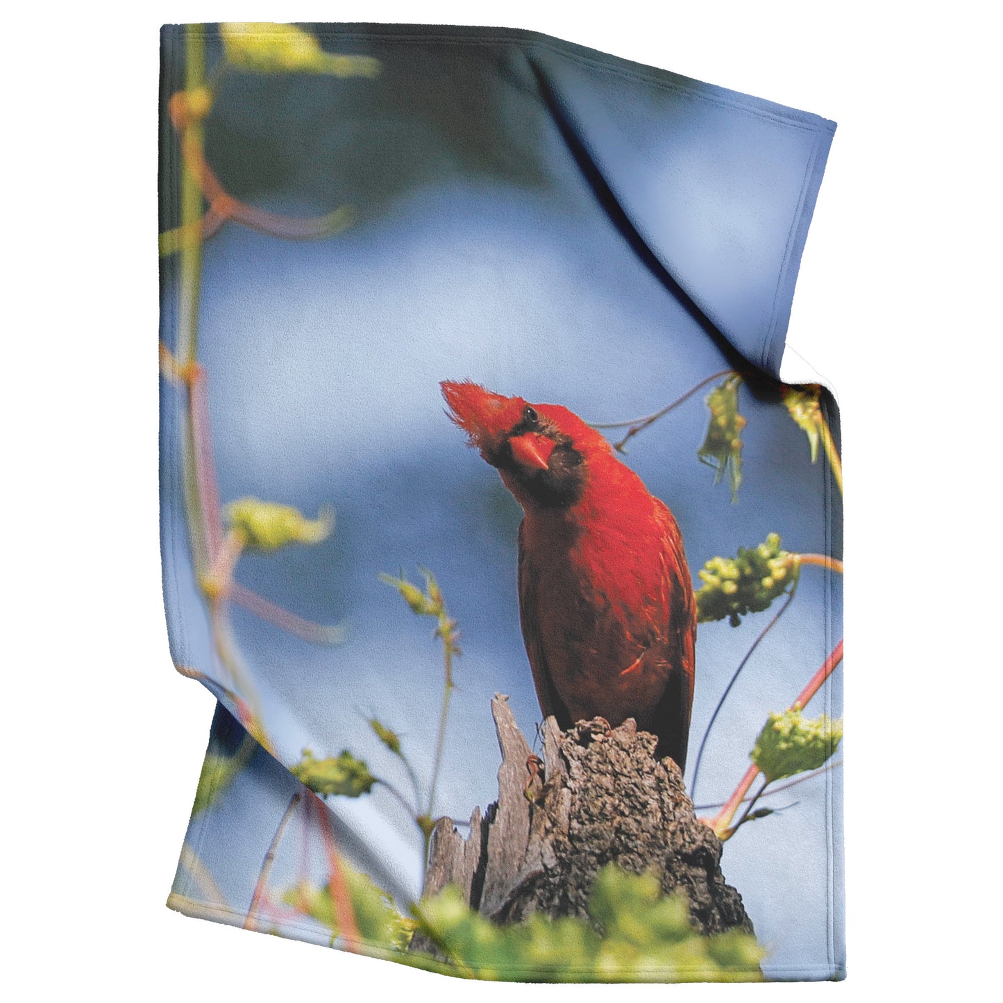 Cardinal Moment Fleece Blanket