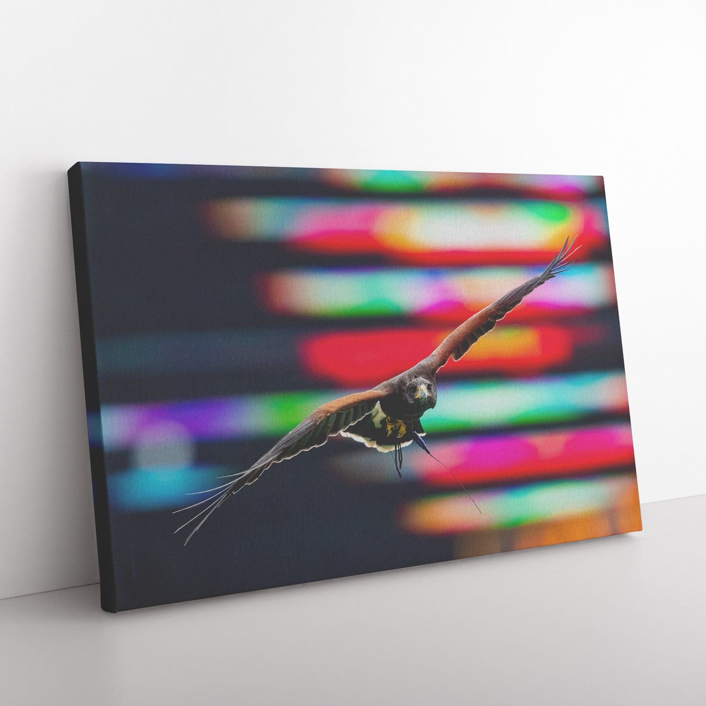 Wrapped Canvas Print - Falcon