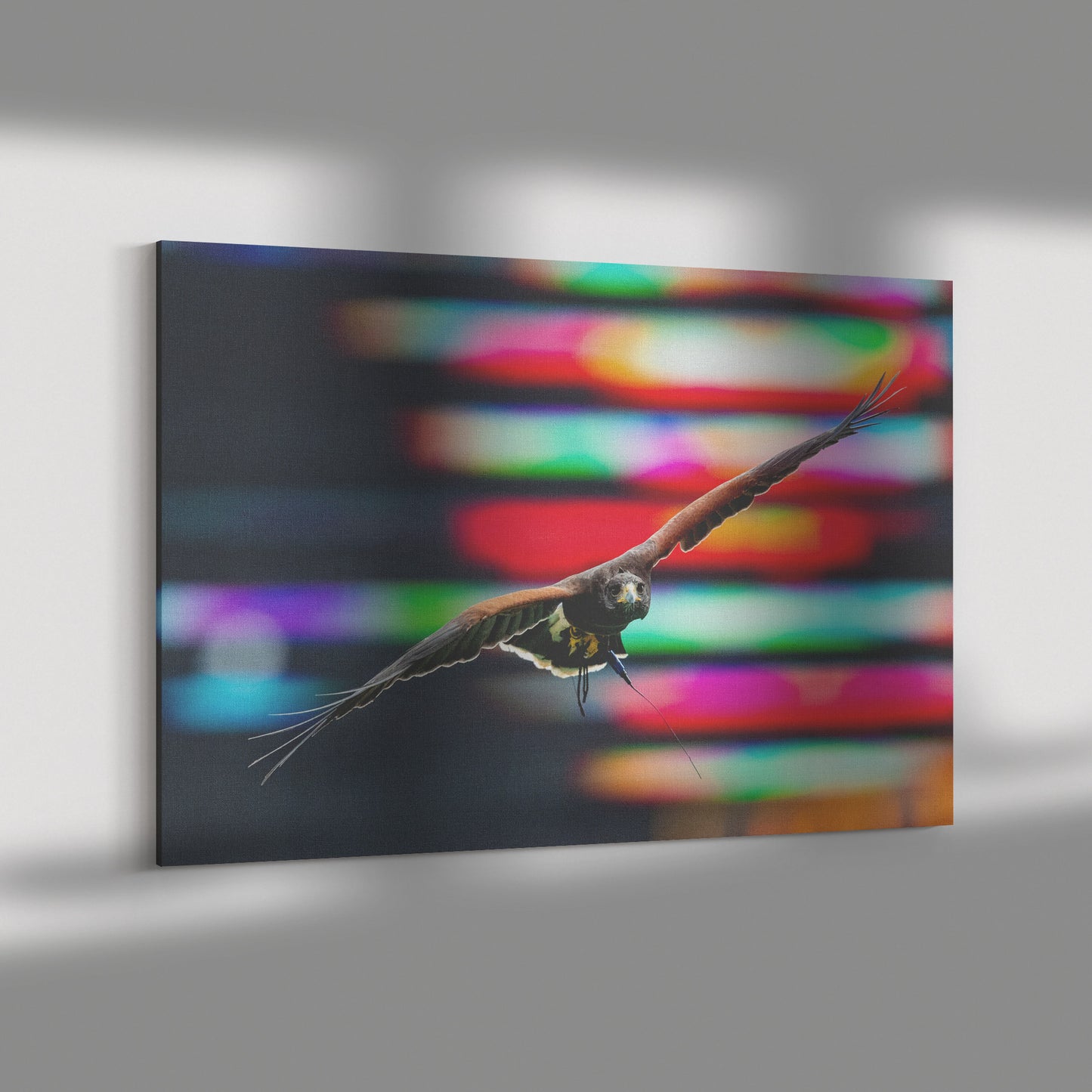 Wrapped Canvas Print - Falcon