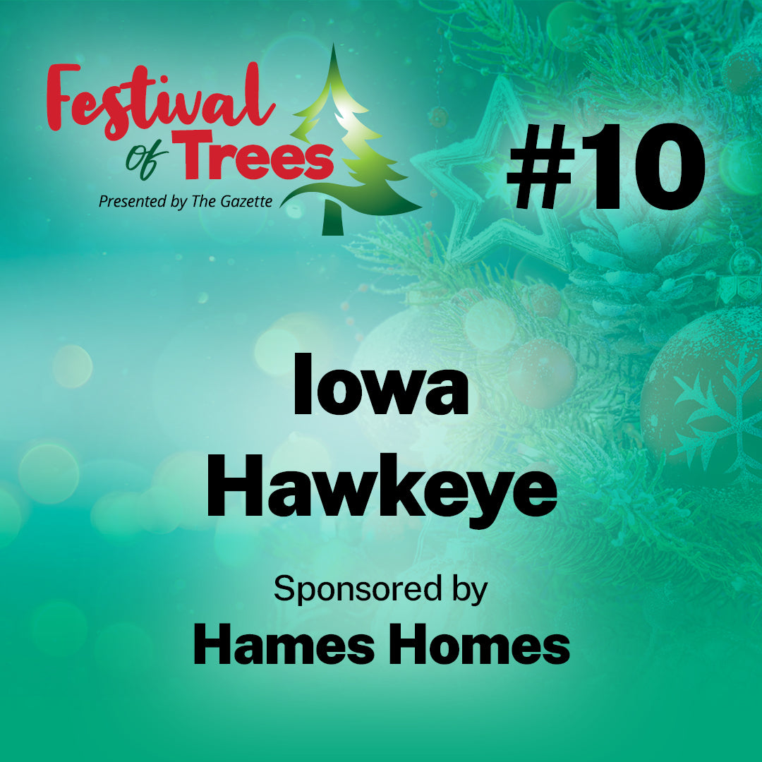 7ft. Tree #10: Iowa Hawkeye
