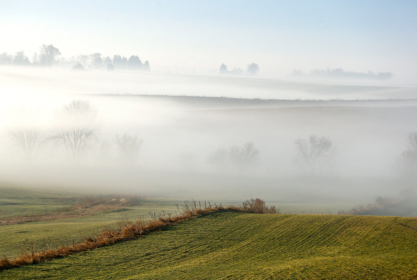 gazette postcards farmland fog