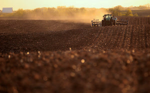 The Gazette Cedar Rapids Postcards Plowing at Sunset